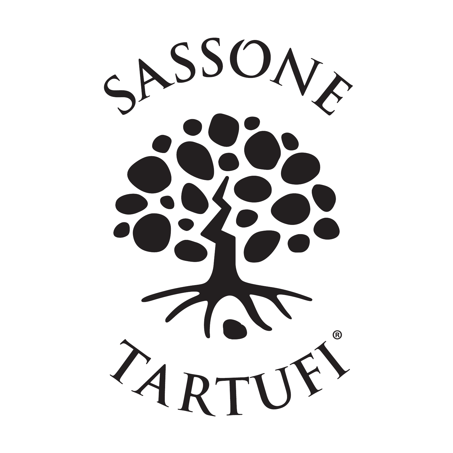 Sassone